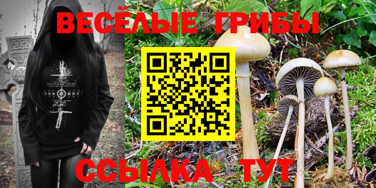 Лысьва  Галлюциногенные грибы GOLDEN TEACHER  Вход с VPN 