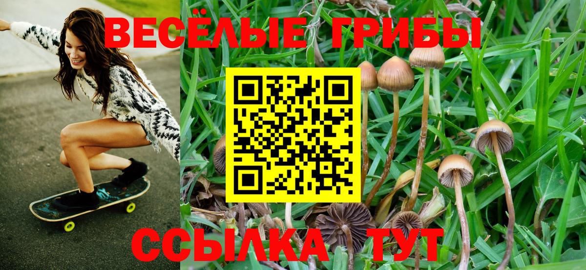Галлюциногенные грибы ЛСД Лысьва